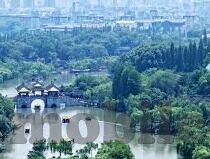 大象传媒网址大全-探索大象传媒网址大全，一站式信息获取的便捷之选