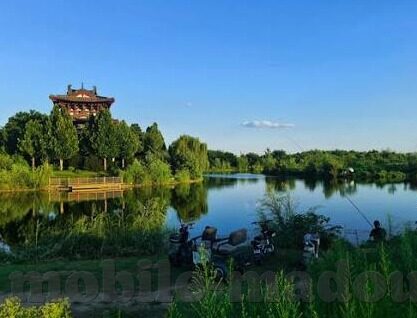 大象视频传媒-大象视频传媒，重塑数字娱乐的巨象力量