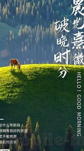 麻豆黄传媒app黄版-麻豆黄传媒关键词的纠偏与正能量引导