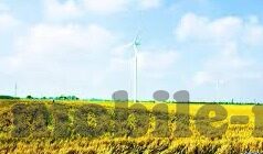 哪里可以下载糖心app-探索APP资源下载的多样性，糖心APP下载指南