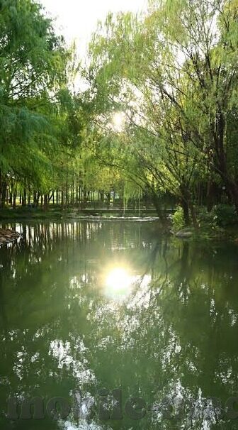 台湾星空无限传媒 麻豆-探寻台湾星空无限传媒与麻豆的非凡之光