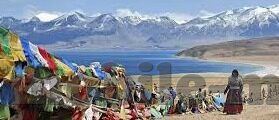 糖心app免费版下载-探索娱乐无界，免费解锁糖心app的奇妙之旅