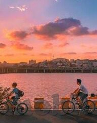 糖心vlog 苹果-以糖心Vlog探索苹果的甜蜜世界